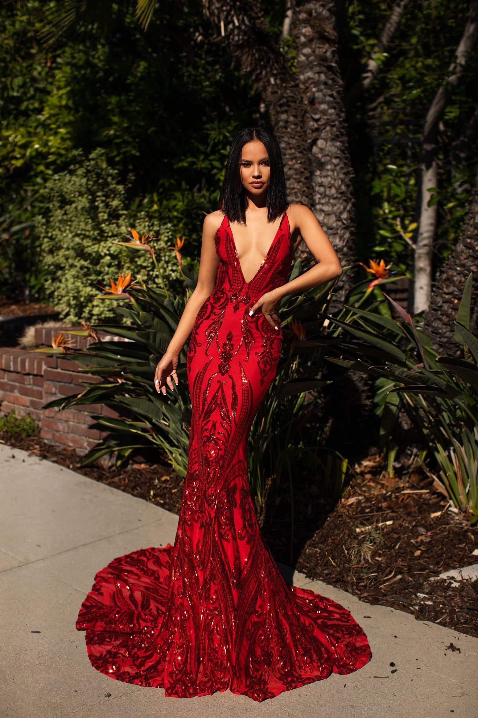 A☀N Luxe Ciara Red Sequin Gown ...